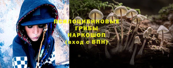 гидра Балахна
