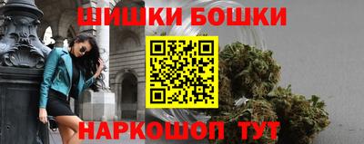 амф Бийск