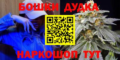 амф Бийск