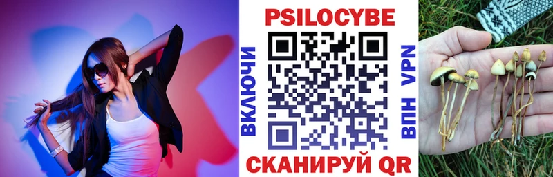 Галлюциногенные грибы мицелий  купить наркотики цена  Белебей 
