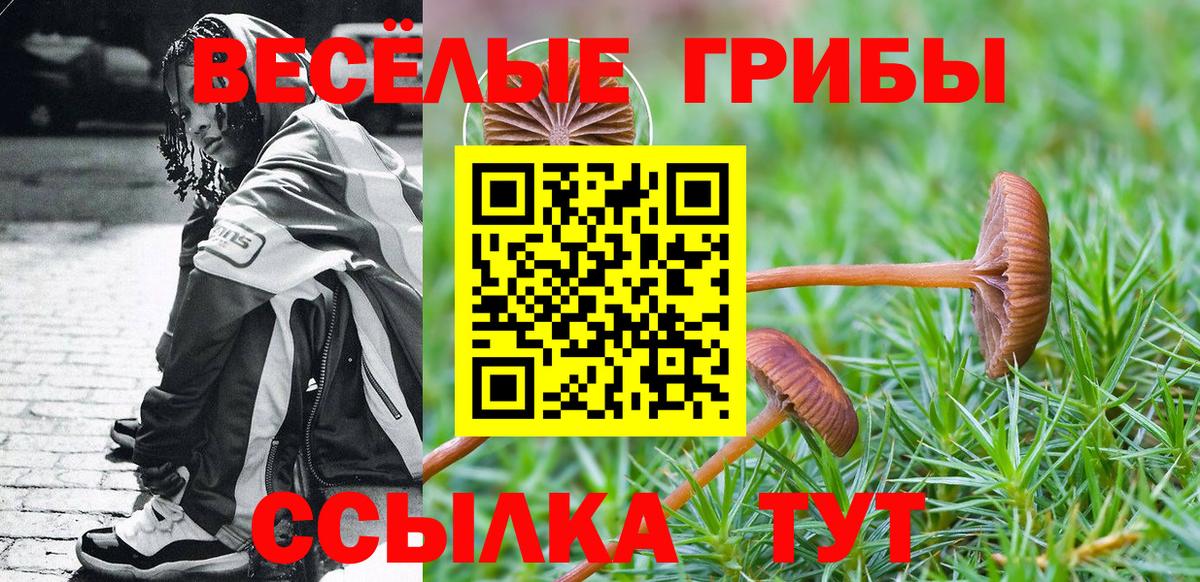 Галлюциногенные грибы мицелий Белебей