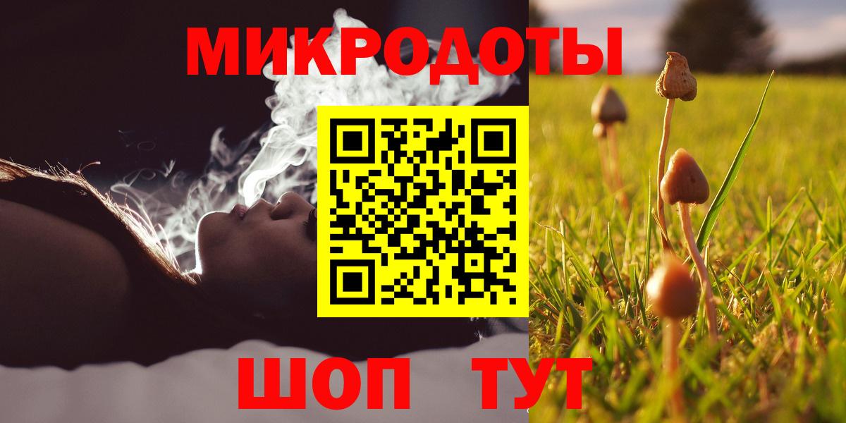 Белебей  Псилоцибиновые грибы Psilocybine cubensis  Вход с VPN 